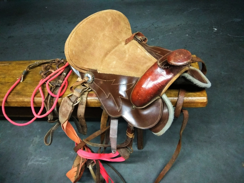 sellier-SPERACEDES-min_sellier